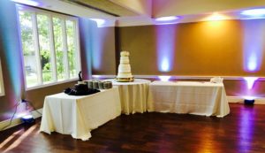Wedding Lighting, Uplighting Richmond KY, Berea KY, Lexington KY, Events